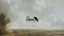 Raven Vintage - Home